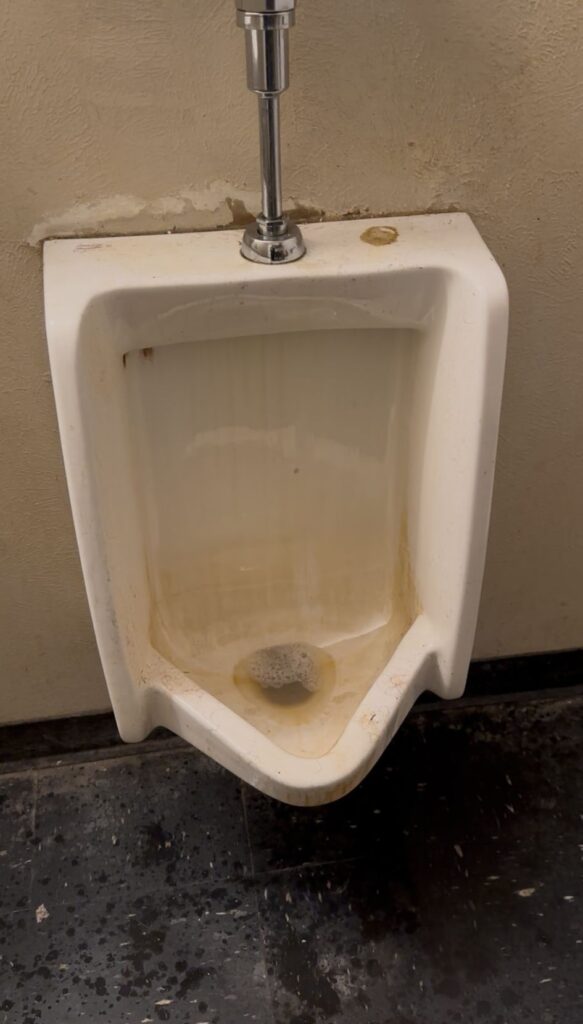 WhatsApp Image 2026 02 04 at 22.37.2555