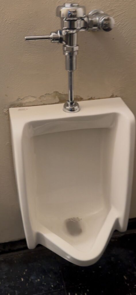 WhatsApp Image 2026 02 04 at 22.37.25555